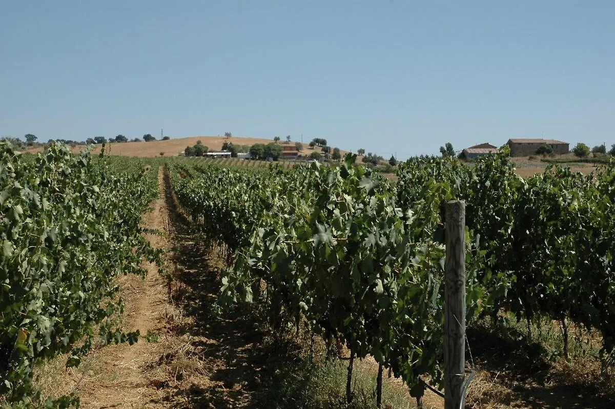 Agriturismo Pian Dei Pini Villa Montiano