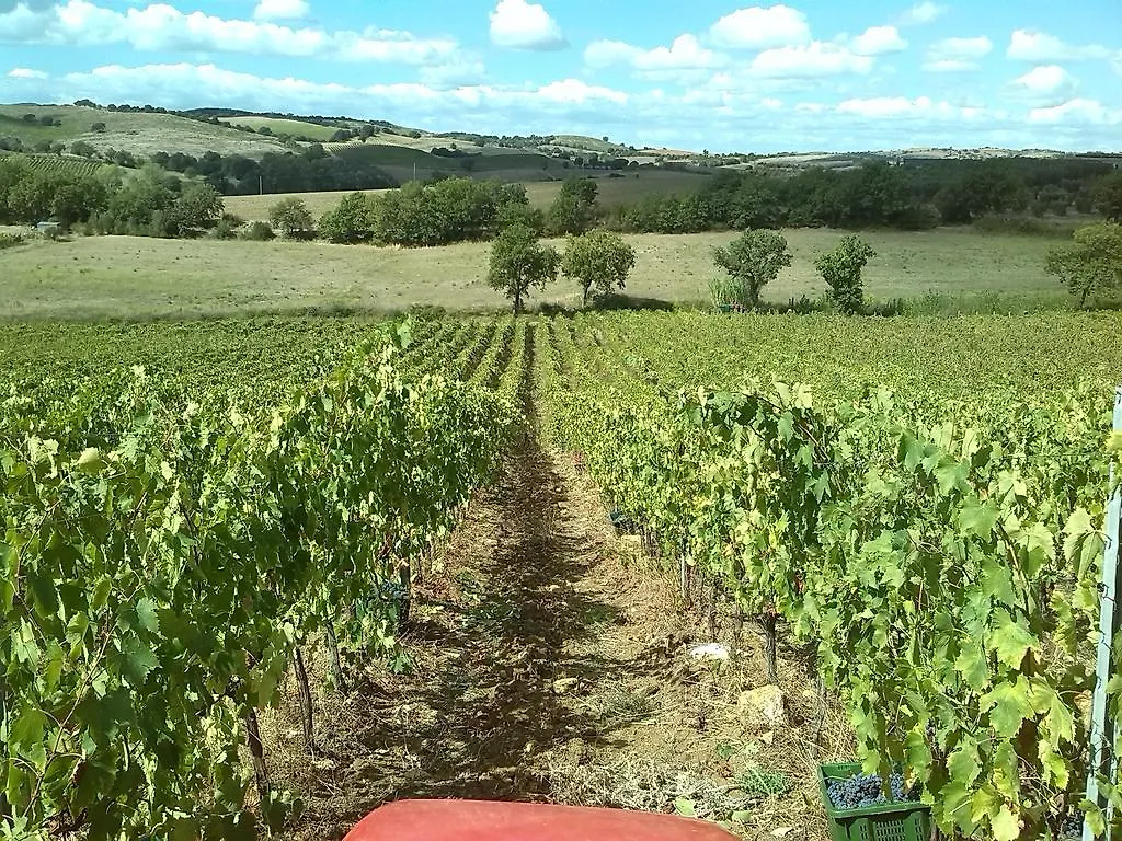 Farm stay Agriturismo Pian Dei Pini Montiano  Italy