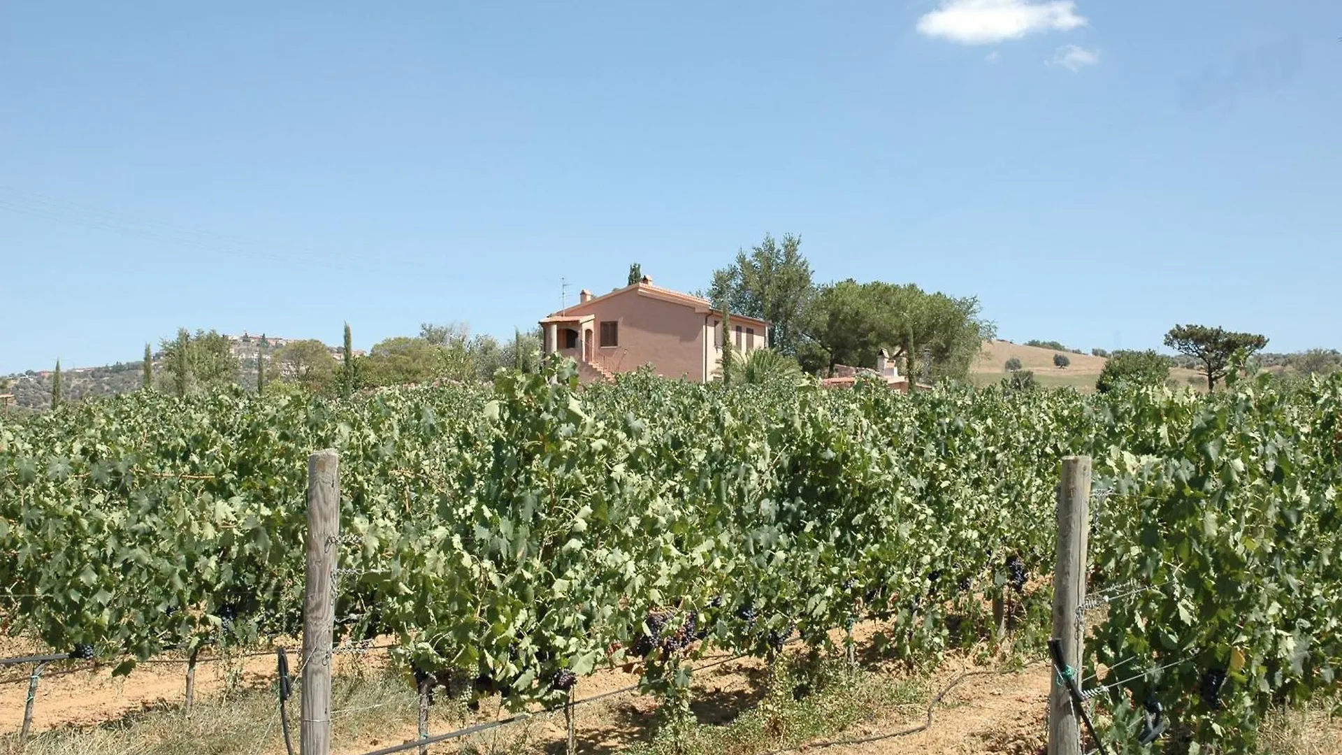 Agriturismo Pian Dei Pini Montiano