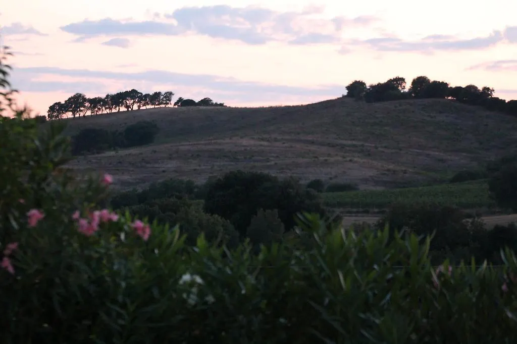 Agriturismo Pian Dei Pini Montiano